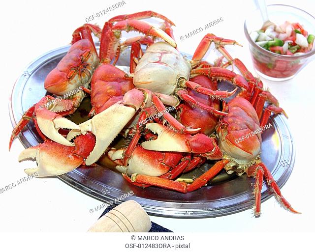 santola seafood crab specie ready to eat