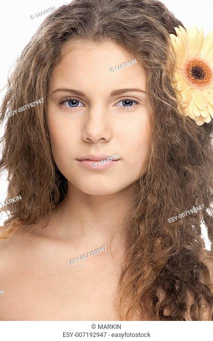 Curly hair gerbera flower Stock Photos and Images | agefotostock