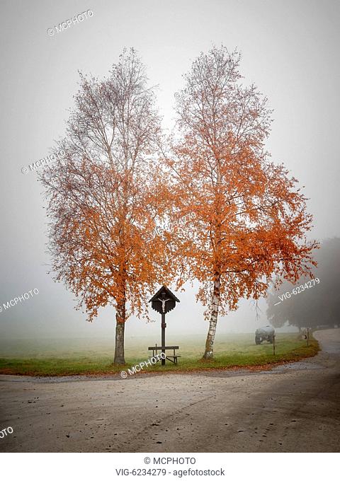 An image of a bavarian countryside scenery - 31/10/2011