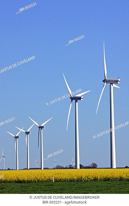 Windmills in a flowering rapefield - wind engines - wind generators - North Friesland Schleswig-Holstein Germany Europe