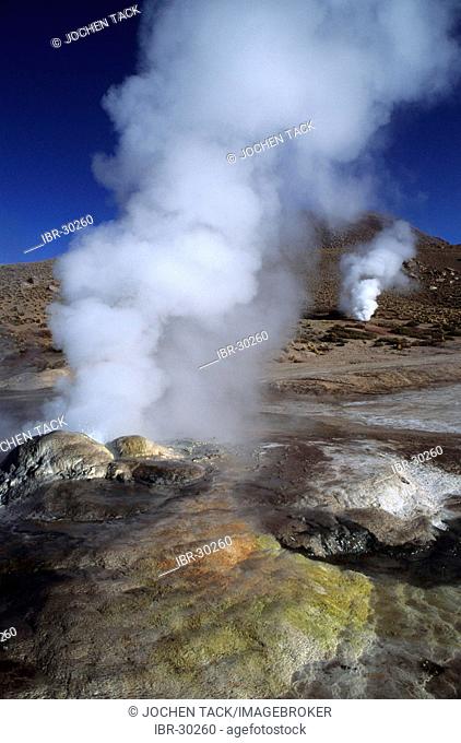 CHL, Chile, Atacama Desert: the hot springs and geysers of El Tatio