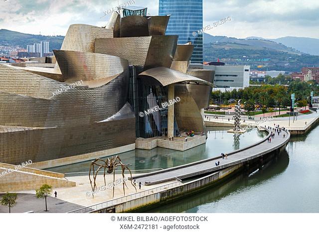 Guggenheim Museum of Art, Nervion river and Iberdrola tower. Bilbao, Biscay, Spain, Europe