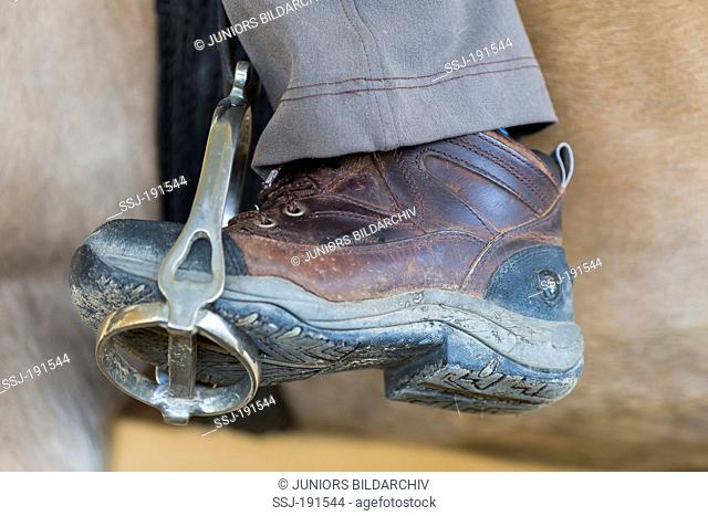 Horseback riding: Lowered heel. Germany