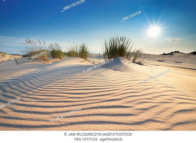 Moving Dunes in Slowinski National Park, Pomerania, Poland, Europe