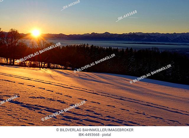 Sunrise in winter, view from Hohenpeißenberg with Ammergau Alps, Pfaffenwinkel region, Upper Bavaria, Bavaria, Germany