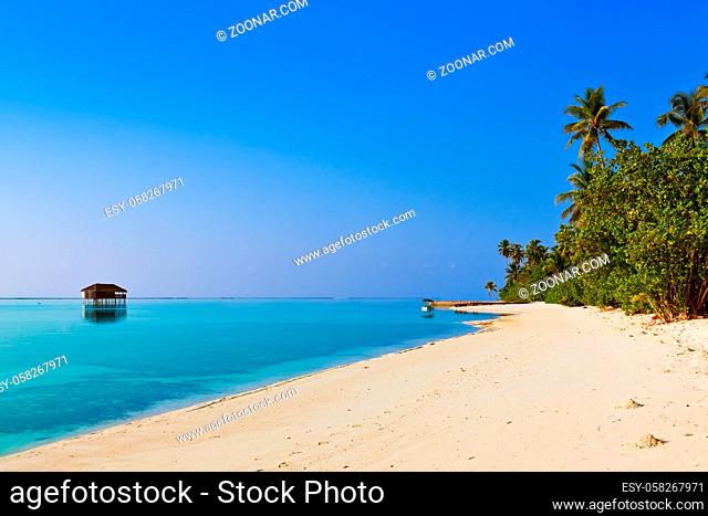 Tropical beach at Maldives - vacation background
