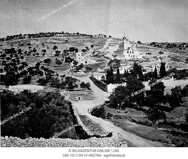 One of the first autotype photographs of the oil-mountain, jerusalem israel