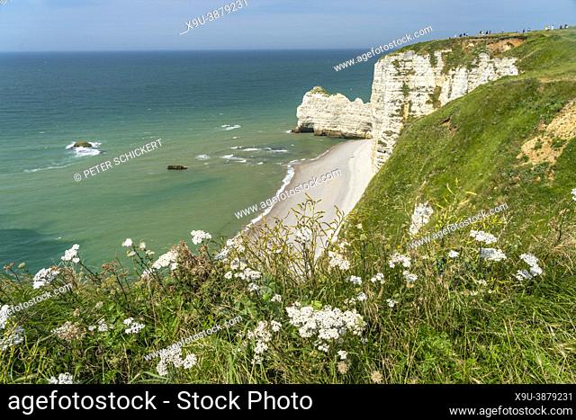 Steep Coast with chalk cliffs in Etretat, Normandy, France