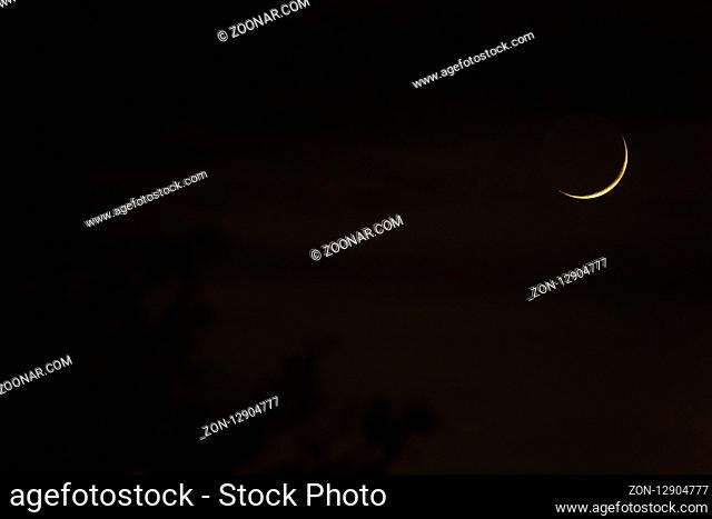 The bright crescent moon in a deep black night with branches