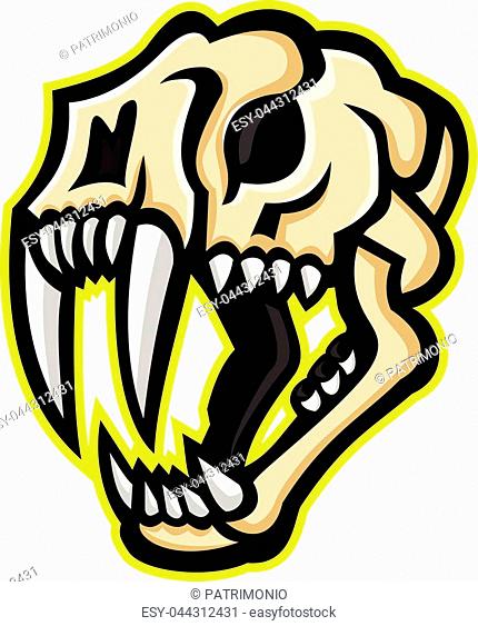Mascot icon illustration of skull head of a saber-toothed cat or sabre-tooth viewed from side on isolated background in retro style