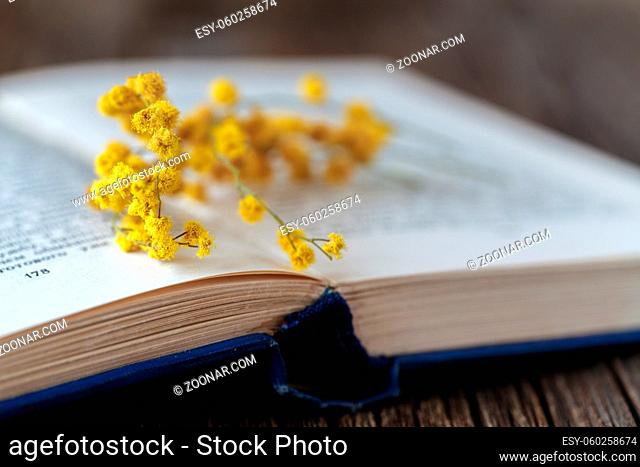 Sping flowers and open books on table