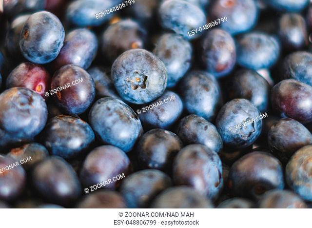 pile of blueberries - blue berry fruits