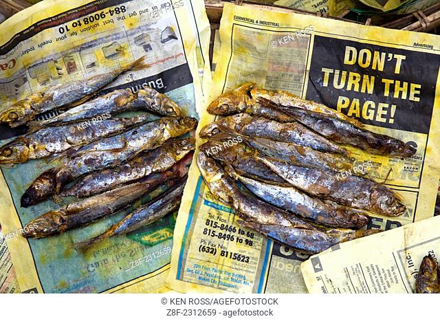 Fish displayed on Newspaper for sale at Market, Luzon, Philippines