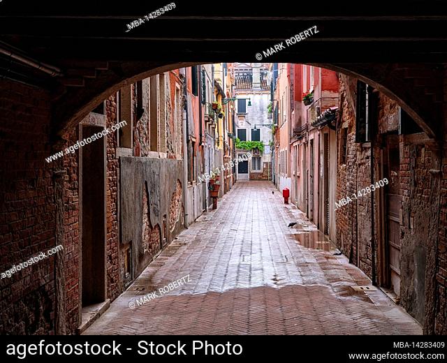 alley, street, tree line, house, passage, canal, river, island, La Serenissima, The Most Serene, historical center, centro storico, historical old town