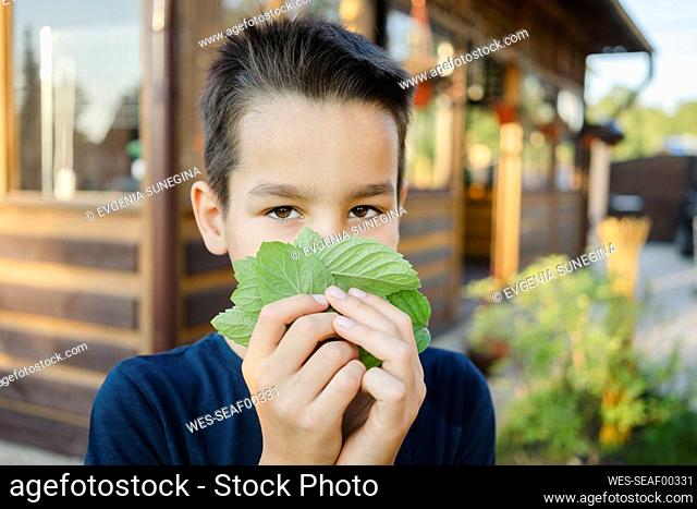 Cute boy covering face with green leaf outside house