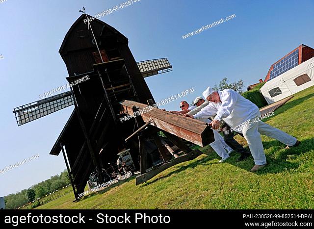 26 May 2023, Saxony-Anhalt, Danstedt: Members of the mill association turn the Bockwindmühle in Danstedt into the wind. The mill was built in 1817 on a small