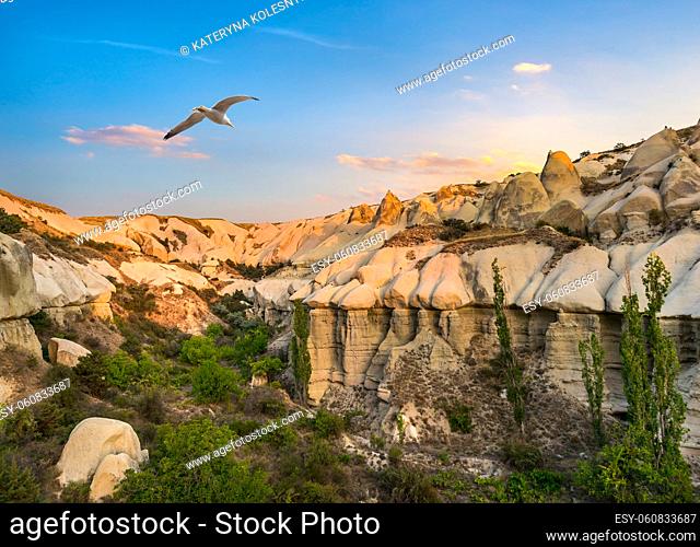 Bird over rocks in Cappadocia at sunrise
