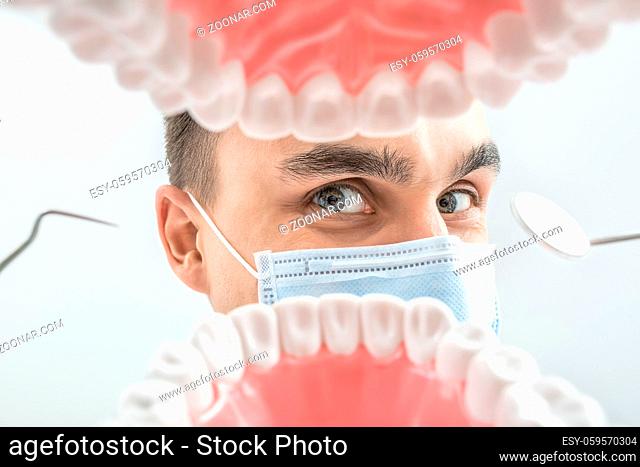 Cheerful dentist looks through the tooth jaw model. Man holds a dental bur and a mirror. He wears a blue medical mask. Macro photo. Horizontal