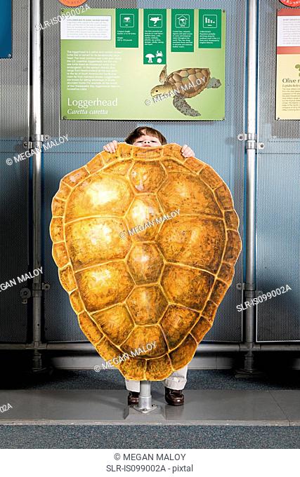 Boy standing behind loggerhead sea turtle shell