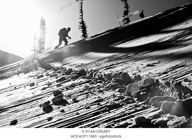 A skier uptracking at Rogers Pass, Glacier National Park, British Columbia, Canada