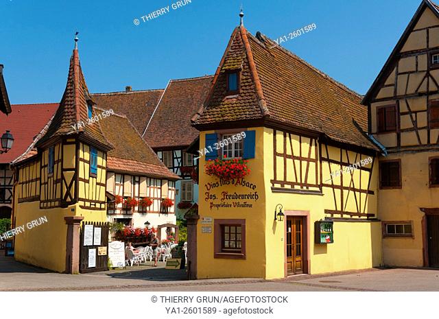 France, Haut Rhin (68), Eguisheim village (elected most beautiful french village), old domaniale court Unterlinden, winery