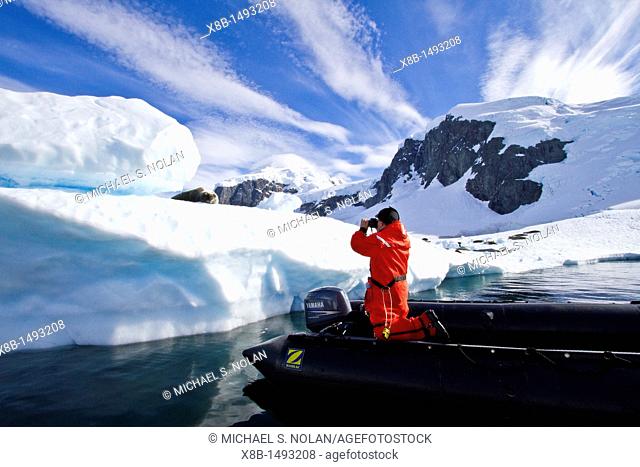 Adult leopard seal Hydrurga leptonyx with Steve Gould near Cuverville Island near the Antarctic Peninsula, Southern Ocean  MORE INFO The leopard seal is the...