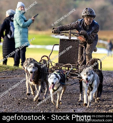 09 December 2023, Thuringia, Drei Gleichen: A mud-splattered musher crosses the finish line with his dogs on a snow-free surface at the World Sleddog...