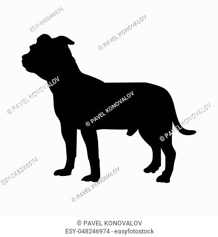 Staffordshire Terrier Dog Silhouette. Smooth Vector Illustration