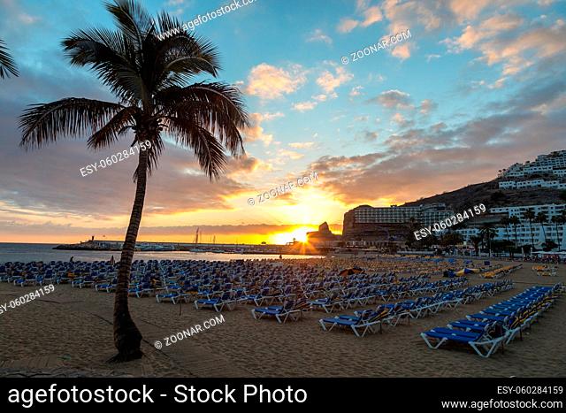 GRAN CANARIA, SPAIN - DECEMBER 10, 2017: Palm tree and sunbeds at Puerto Rico Beach in Gran Canaria, Spain. Canary Islands had 13