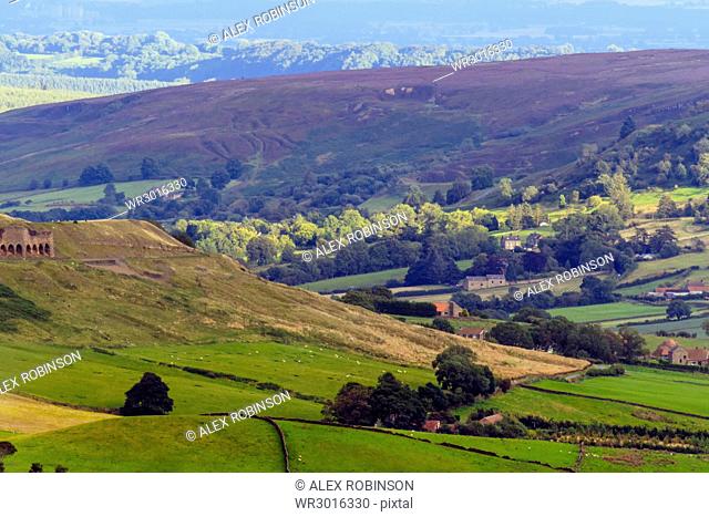 Heathland in bloom, and rolling hills, Yorkshire Moors National Park, Yorkshire, England, United Kingdom, Europe