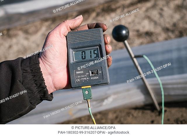02 March 2018, Germany, Lichtenhorst: Farmer Carsten Bolte measures the temperature on his heated asparagus field. Photo: Ole Spata/dpa