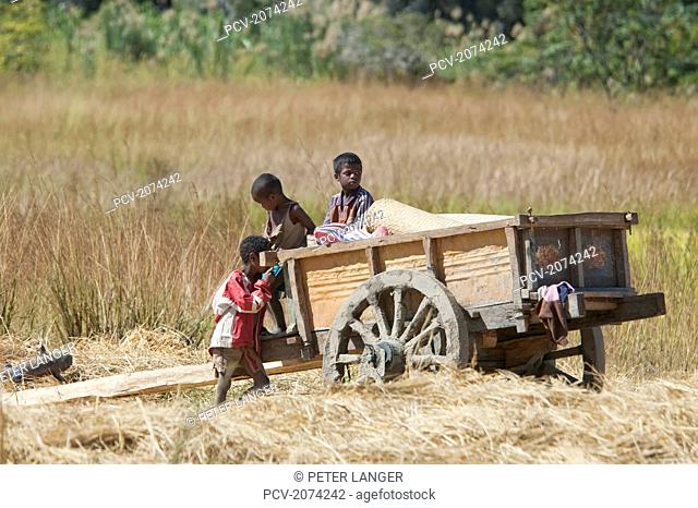 Cart In Isalo National Park, Fianarantsoa Province, Madagascar