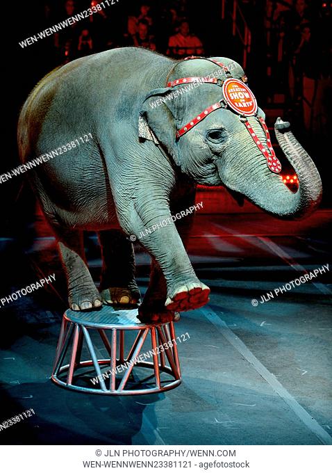 Ringling Bros. and Barnum & Bailey present Circus Xtreme held at American Airlines Arena. Ringling Bros. Barnum & Bailey Circus announced Monday they will...