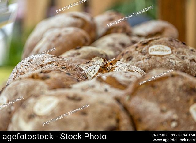 05 August 2023, Brandenburg, Golßen: Loaves of Spreewald gherkin bread lie at a bakery's sales stand at the Spreewald Gherkin Day in Golßen