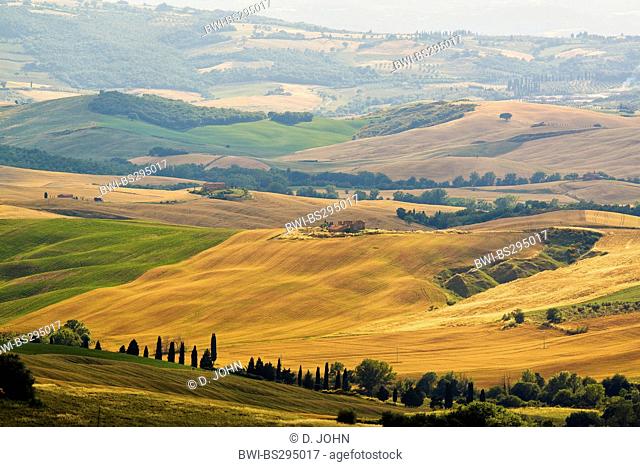 panoramic view over typical hilly landscape with meadows, fields and forests, single houses and cypresses, Italy, Tuscany, Monticchiello