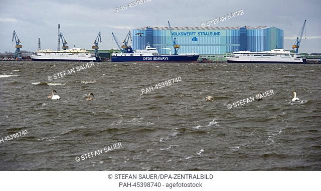 The former Scandlines ferries ""Berlin"" (R) and Copenhagen (L) and the first of two ferries for the Danish shipping company DFDS (C) are docked at the pier of...