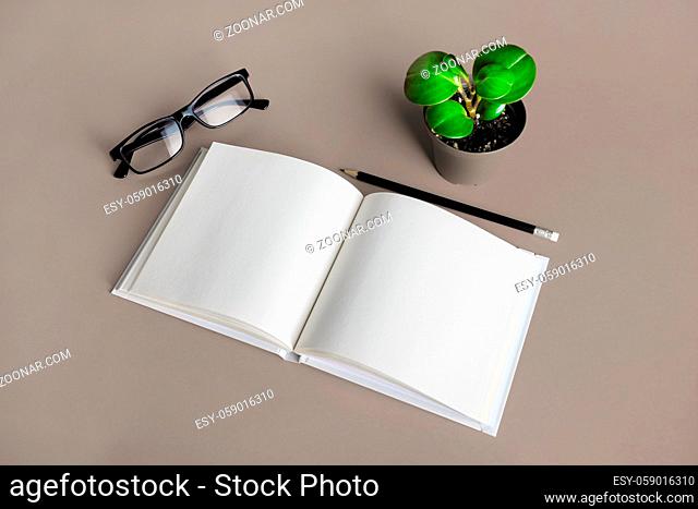 Mockup of opened blank brochure, pencil, glasses and plant. Responsive design template