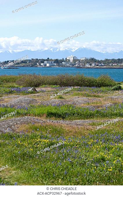 Cattle Point, Uplands, with Oak Bay in background, Victoria, British Columbia, Canada
