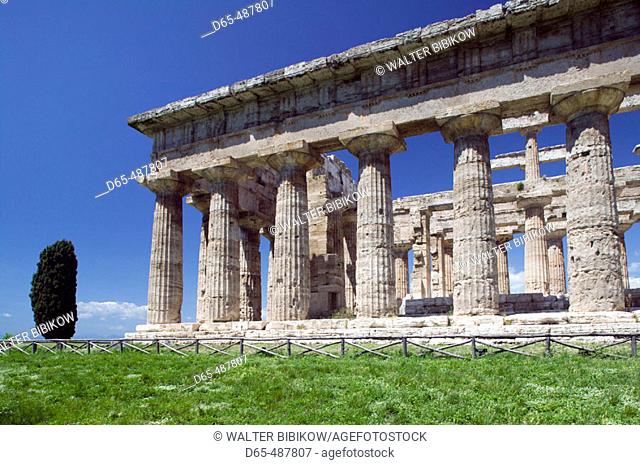 Site of Ancient Greek Ruins.Tempio di Nettuno (Temple of Neptune) mid-Vth century BC Doric Temple. Paestum. Campania. Italy