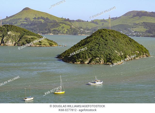 Port Chalmers, New Zealand