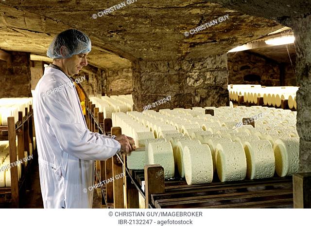 Master cheese maker with rows of cheese stored in the maturing cellars of the Roquefort Societe, Roquefort-sur-Soulzon, Aveyron, France, Europe