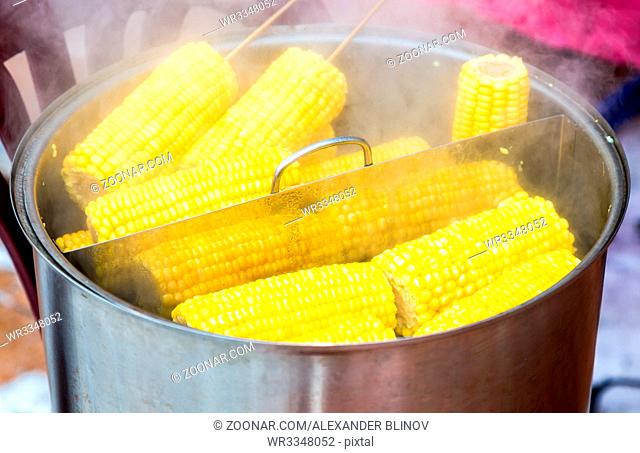 Steamed corn with a wooden plug in a cooking saucepan, street food. Boiled the corns with a bit of sugar or salt to get a delicious taste
