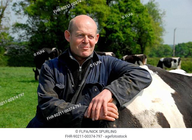 Dairy farmer Steve Hook with Friesian cows in herd on organic dairy farm, featured in 'The Moo Man' documentary film, Hook and Son, Longleys Farm, near Hailsham