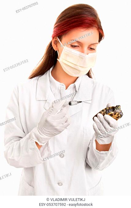 Taking care of the animals. Young female veterinarian in lab coat, surgical mask and syringe with needle holding a pet turtle, isolated on white background
