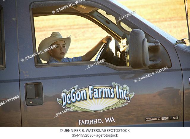 A boy drives the family truck after they finish the harvest of their pea field in Fairfield, Washington, USA