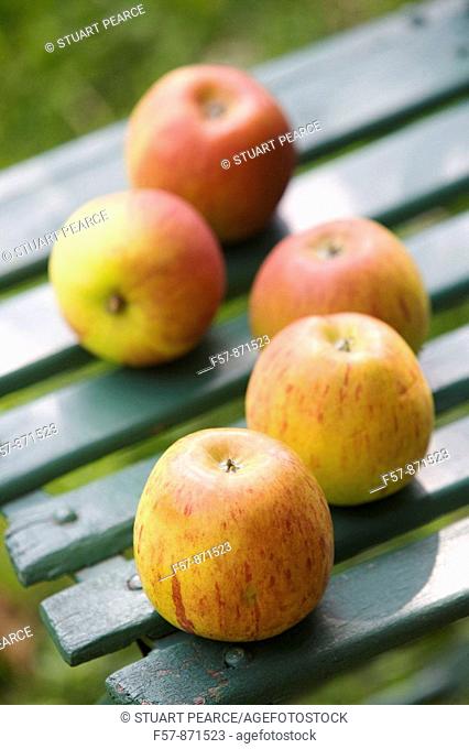 Cox's Orange Pippin, variety of Apple