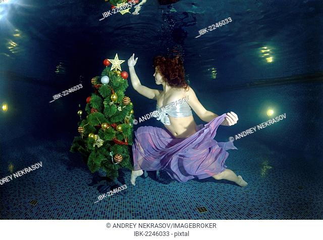 Underwater Christmas, Odessa, Ukraine, Eastern Europe