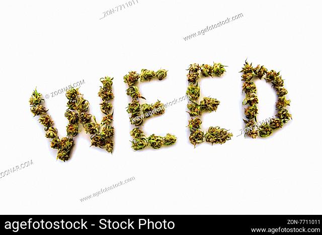 The word Weed written with marijuana buds