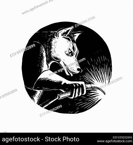 Scratchboard style illustration of a Dingo Dog wolf Welder welding viewed from side set inside circle done on scraperboard on isolated background