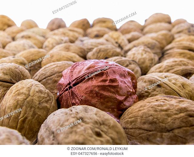 Juglans regia - leckere Walnüsse - Nahaufnahme Juglans regia - tasty walnuts - close-up